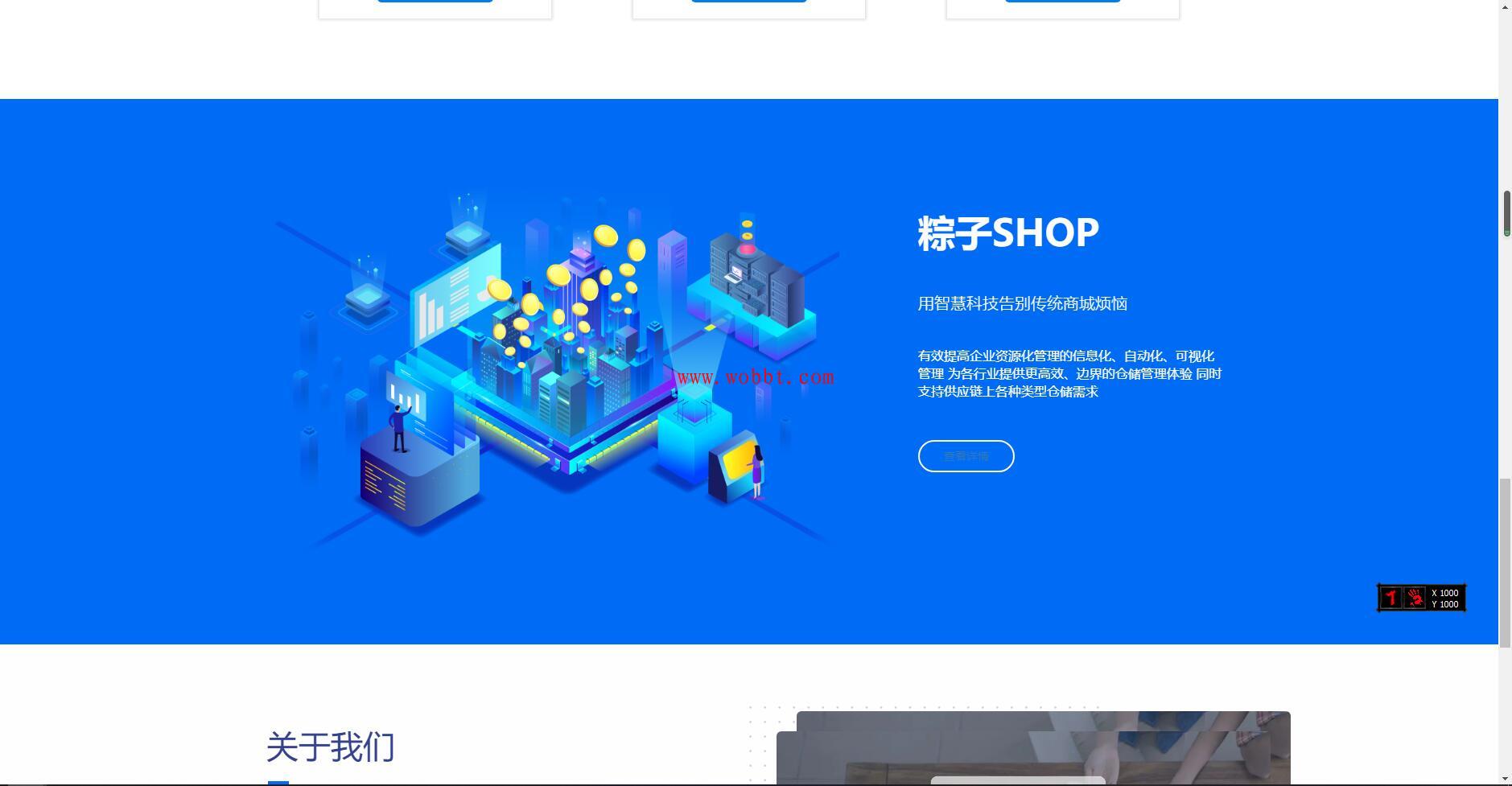 最新粽子实物商城纯净官网展示源码 无后台-酷库源码网