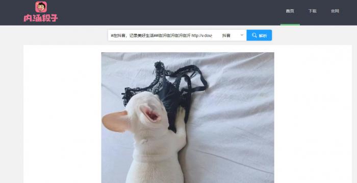 短视频无水印解析源码半开源分享-酷库源码网