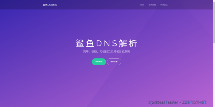 最新好看的二级域名分发系统梦幻版插图