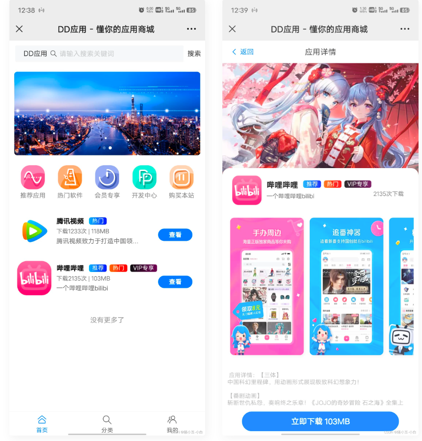 D1112 DD应用系统软件库网站源码-酷库源码网